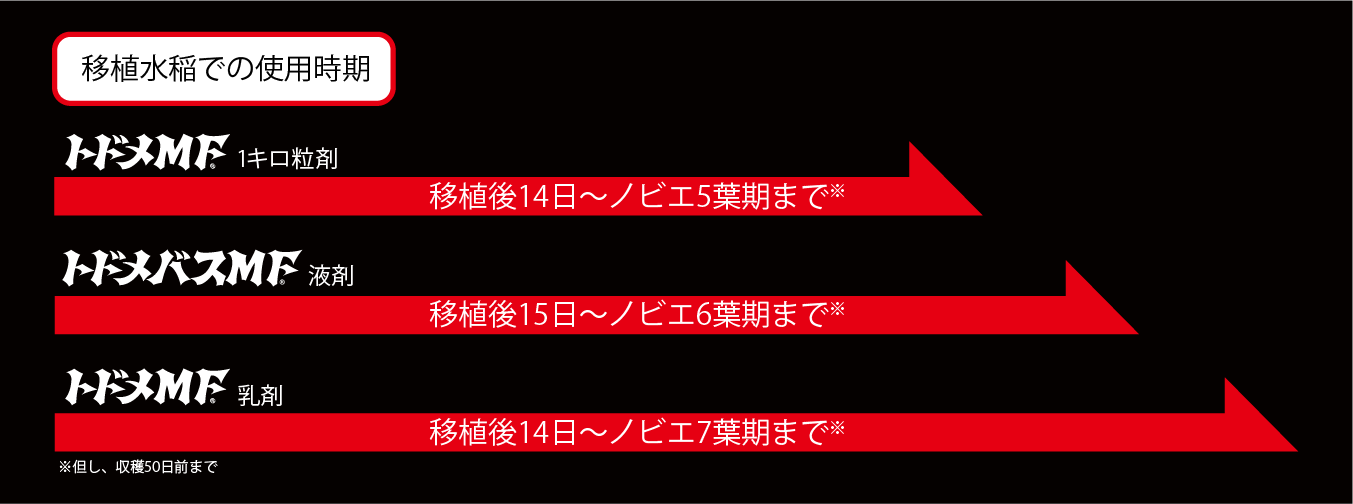 ノビエ防除についての画像