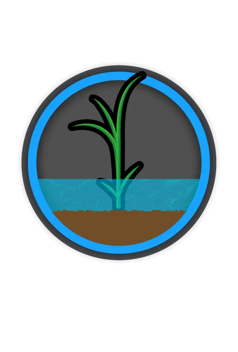 湛水散布