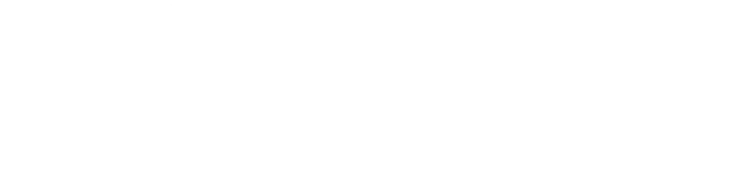 トドメバスMF 液剤